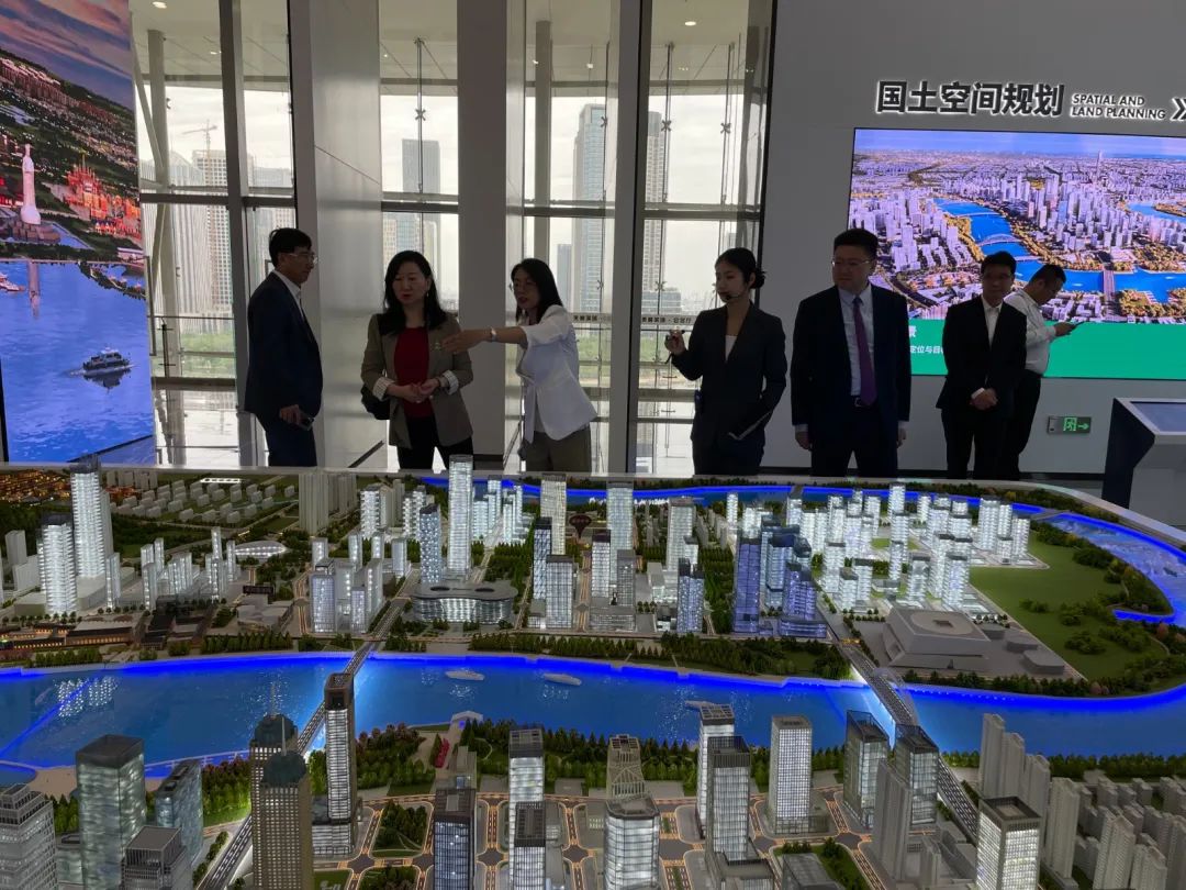 香港企業家代表団が新区を視察し、浜港両地の深い交流を推進